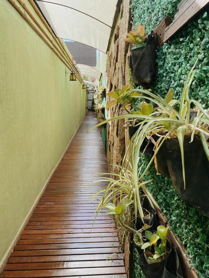 Loft Garden'S Leilighet Rosario Eksteriør bilde
