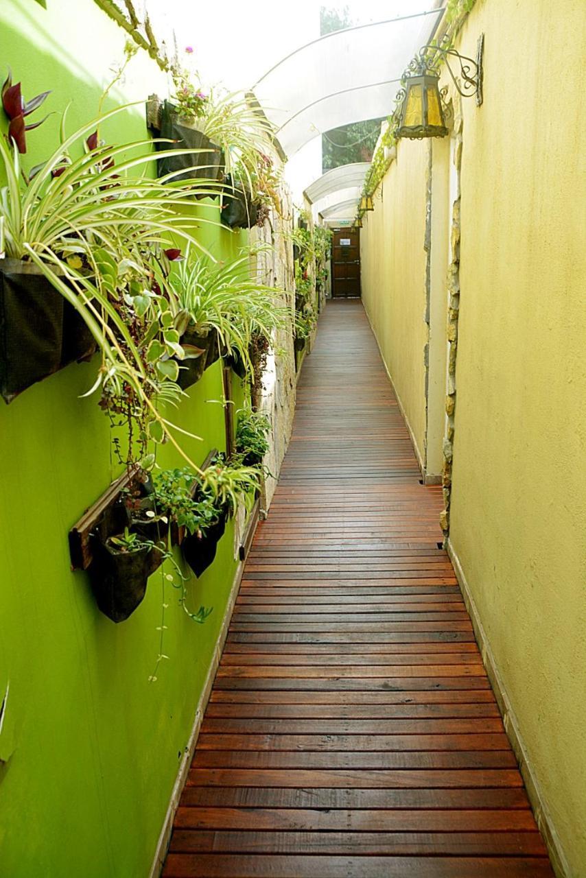 Loft Garden'S Leilighet Rosario Eksteriør bilde